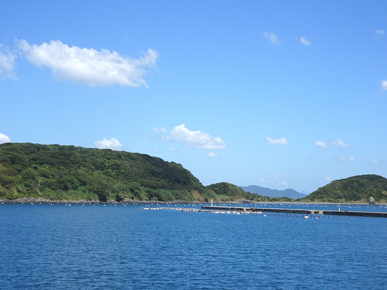 相島の真珠養殖