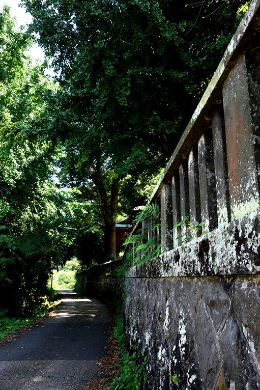 神埼八幡神社の古い石垣