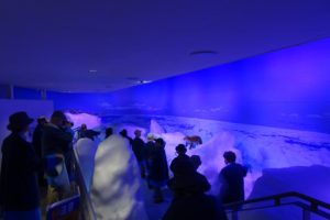 流氷体感室の内部は氷の世界